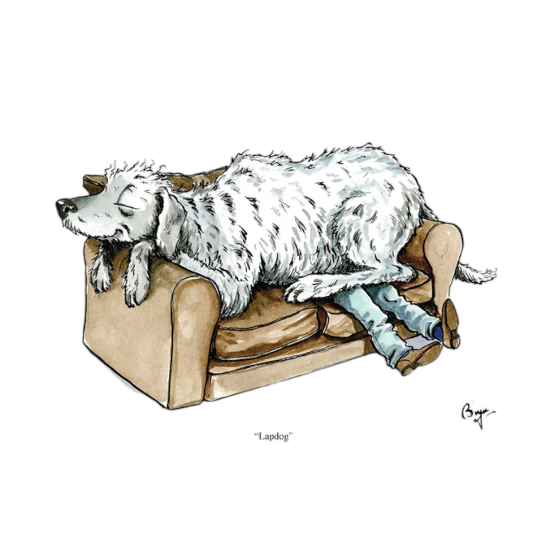 Lapdog Greeting Cards (1)