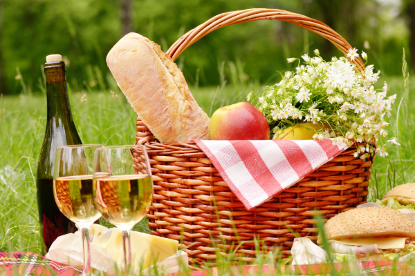 Picnic Bundle