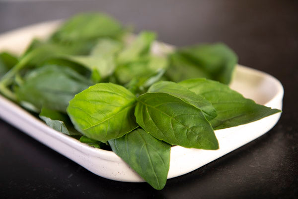 Fresh Basil (30g) - 01