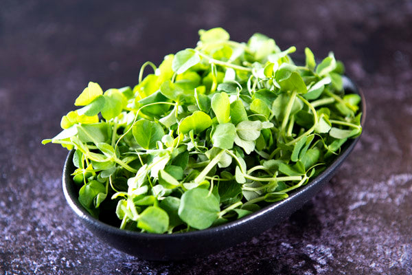 British Pea Shoots 40g - Mudwalls Farm - 44 Foods - 01