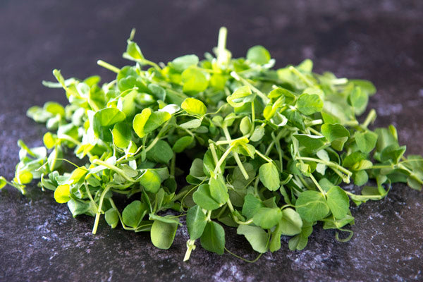 British Pea Shoots 40g - Mudwalls Farm - 44 Foods - 03
