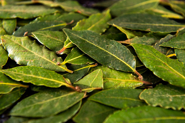Fresh Bayleaf (30g)