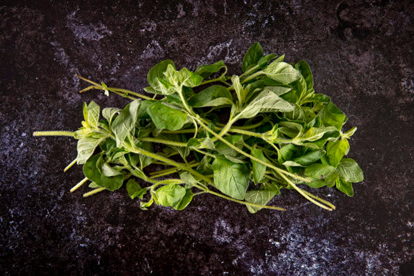 Fresh Oregano (30g)