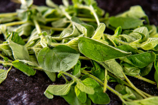 Fresh Oregano (30g)