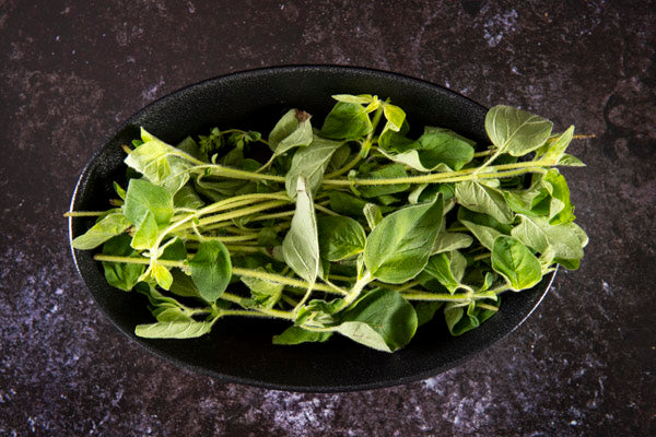 Fresh Oregano (30g)