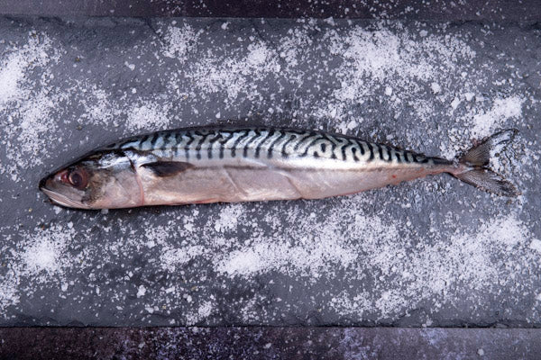 Whole Mackerel (Gutted, 2 x 150g)