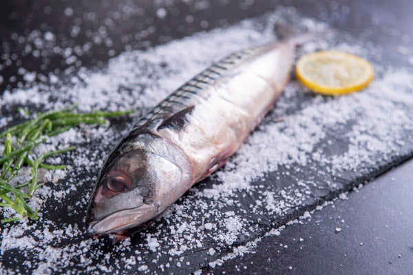 Whole Mackerel Gutted - Stevensons - 44 Foods - 03
