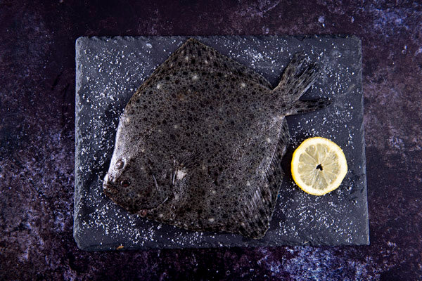 Whole Turbot 750g - Stevensons - 44 Foods - 01