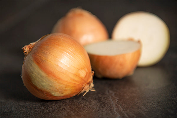British Medium Brown Onion (single)