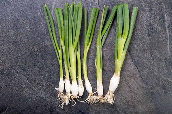 Spring Onions (150g) - 01