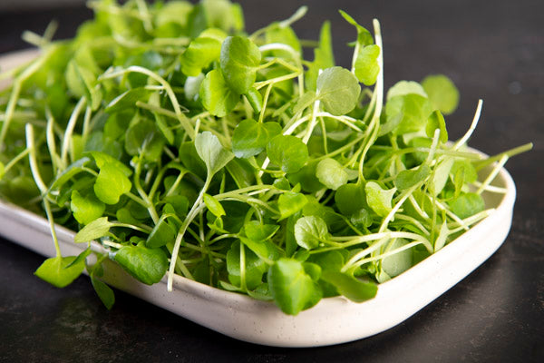 British Baby Watercress (100g)