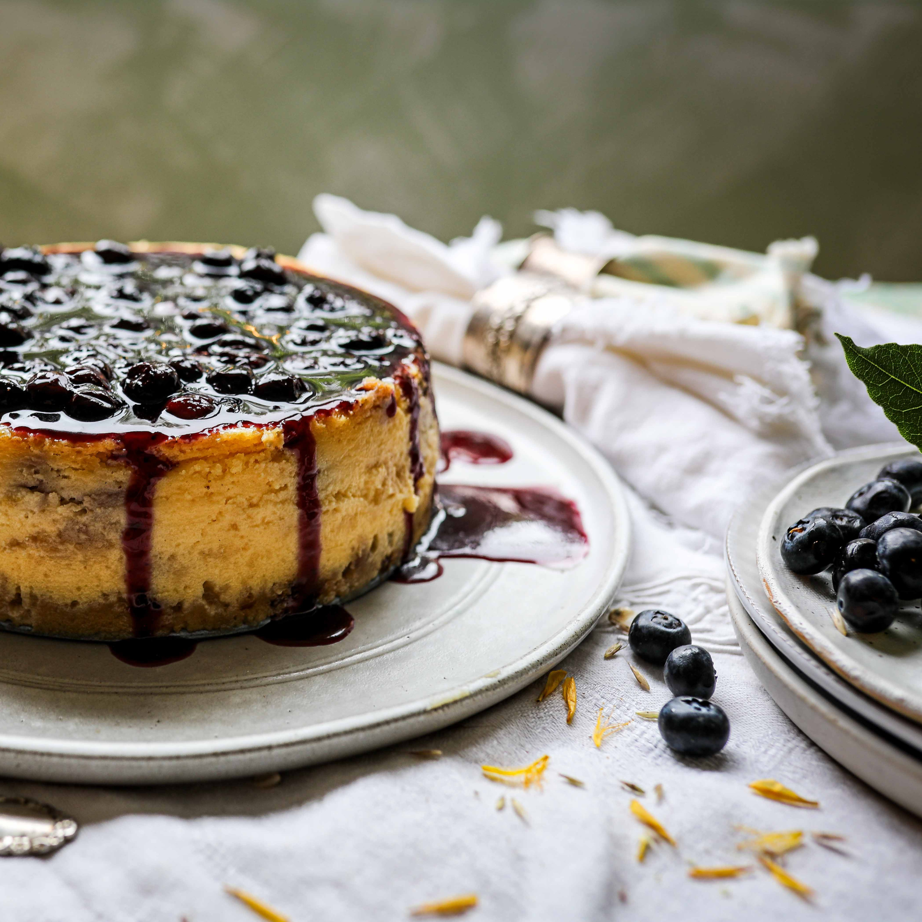 James Strawbridge's Baked Blueberry Cheesecake