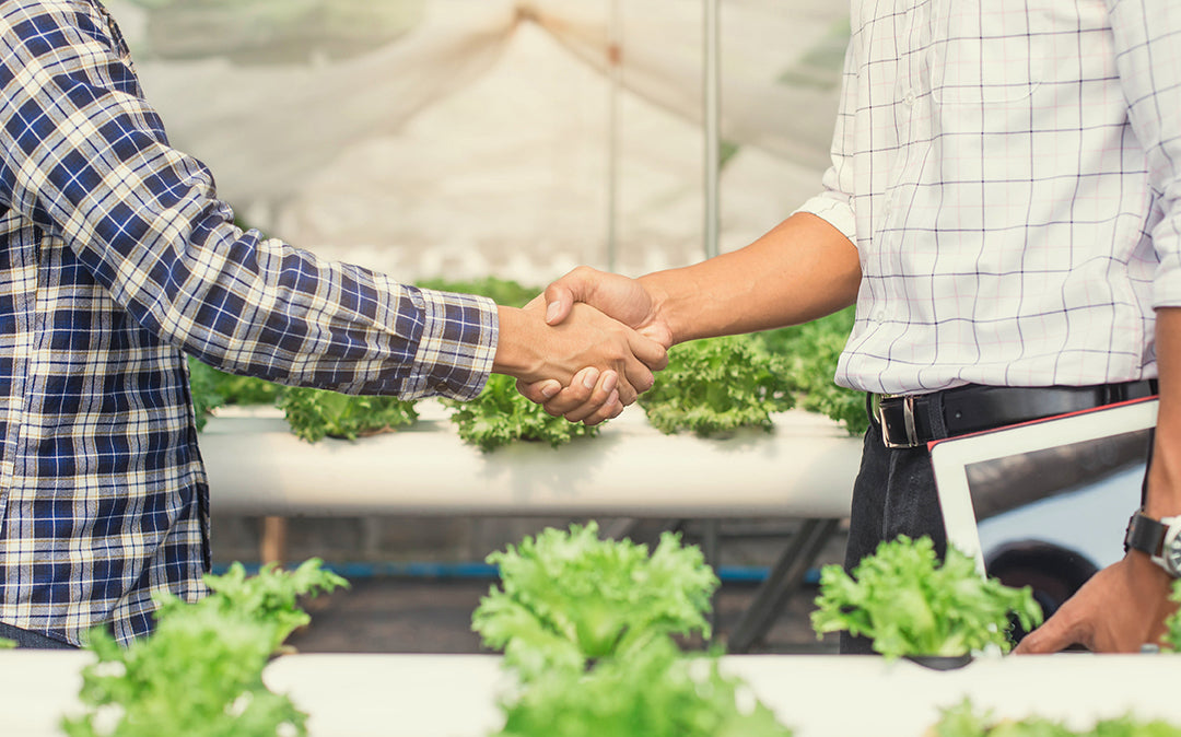 What does a fair deal mean?