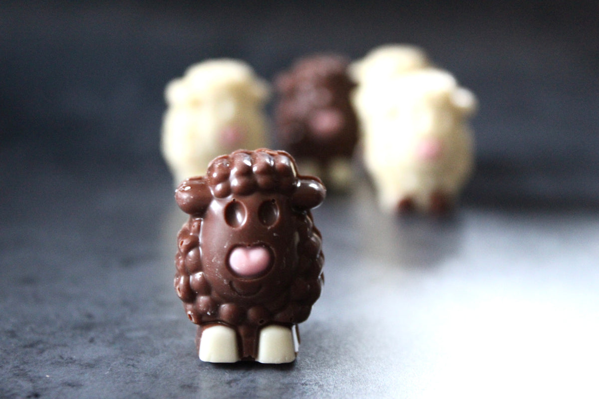 Chocolate Sheep (6)
