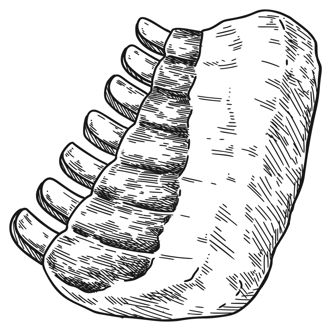 Meat Grocery Shopping Online | 44 Foods