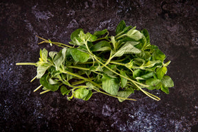 Fresh Oregano (30g)