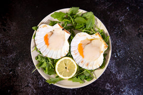 Half Shell Scallops with Roe 2 - Stevensons - 44 Foods - 04