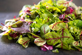 British Mixed Petite Leaves (120g)
