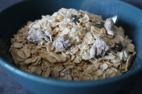 Simply Seedz - Date and Apricot Porridge (500g)