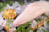 Monkfish Tail (500g) - 03