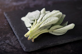 Fresh Sage (30g) - 03