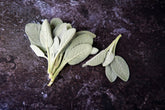 Fresh Sage (30g) - 01