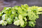 Fresh Coriander (30g) - 01