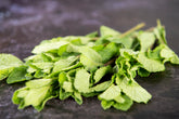 Fresh Mint (30g) - 01