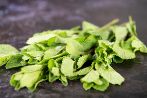 Fresh Mint (30g) - 01