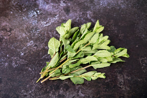 Fresh Mint (30g) - 03