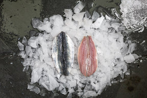 Sardine Butterfly Fillets (200g) - 04